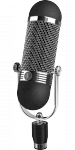 Mic