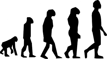 Evolution